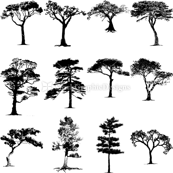 Tree Vector & Brush Pack | Vector & Photoshop Brushes | Stock Graphic ...