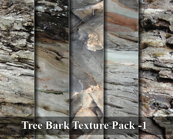Tree Bark Texture 01