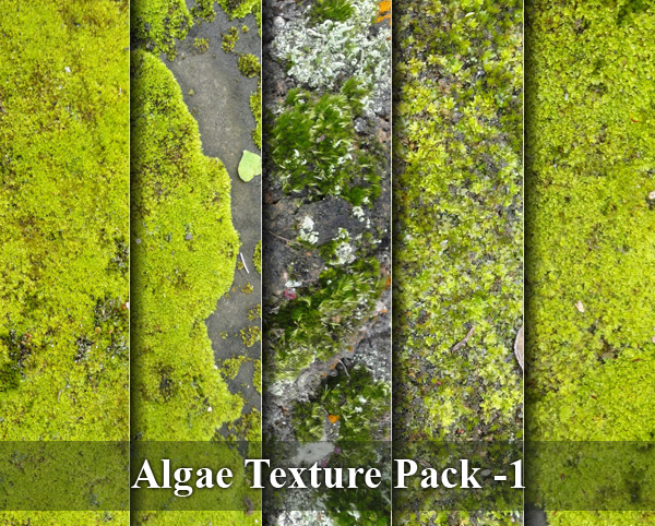 Algae Texture Pack -1