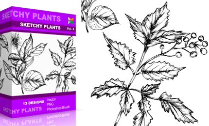 Vol.4 : Sketchy Plants